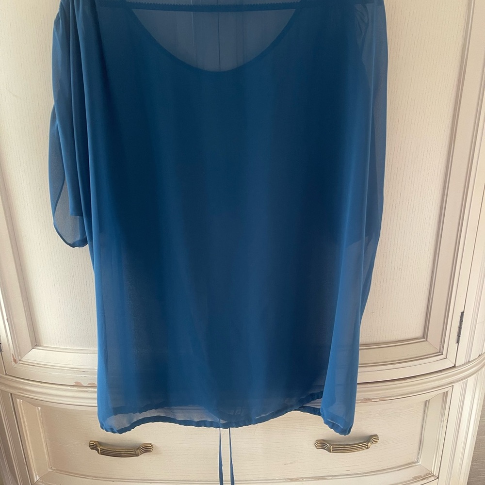 BCBG Sheer Blue Blouse